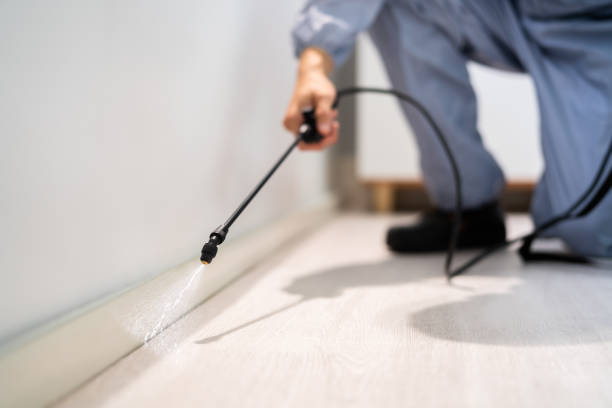 Licensed Cockroach Control service in Winchester, IL - Nex Pest Control