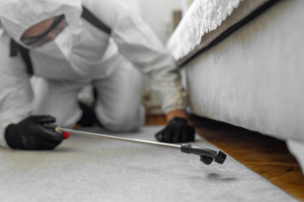 Professional Cockroach Control technician working in Winchester, IL