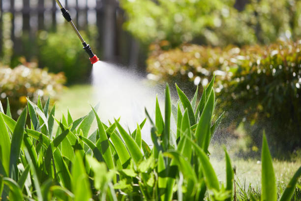 24/7 Emergency Cockroach Control experts in Winchester, IL