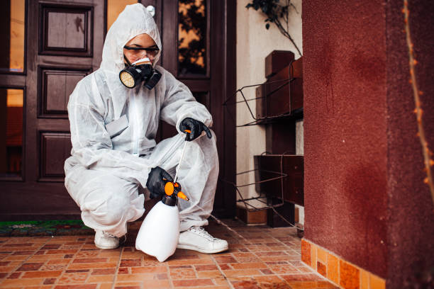 Reliable Cockroach Control contractor in Winchester, IL by Nex Pest Control
